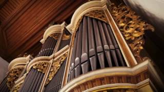 THE PASSACAGLIA OF BACH ON THE SILBERMANN ORGAN IN RÖTHA - XAVER VARNUS