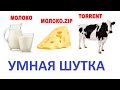 Лютые приколы. УМНАЯ ШУТКА