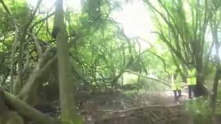 Wolf Run Summer 2014