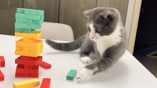 Jenga game with the cat Pika