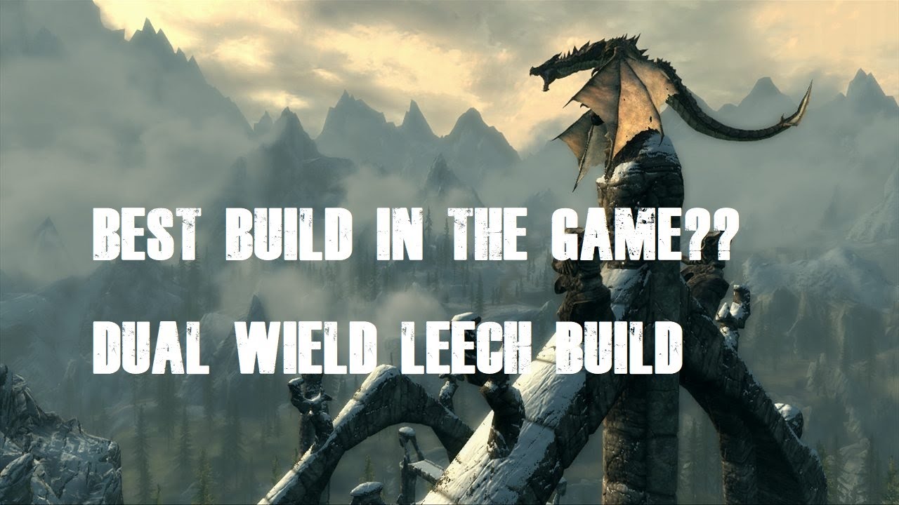 [SKYRIM] OP BUILD?? Dual Wield Leech YouTube