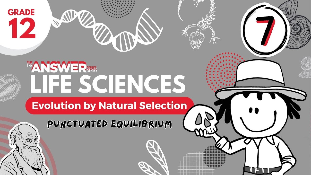 GR 12 EVOLUTION BY NATURAL SELECTION – Punctuated Equilibrium #7 - YouTube