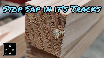 Stop Sap from Leaking Out of Your Boards