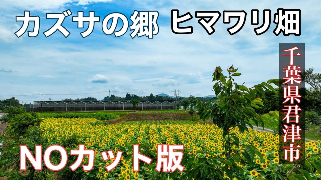 千葉県君津市にある農地です。