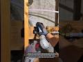 Smart PEX Pipe Expansion Hack That Saves Time &amp; Prevents Leaks (Pro Plumbing Trick)