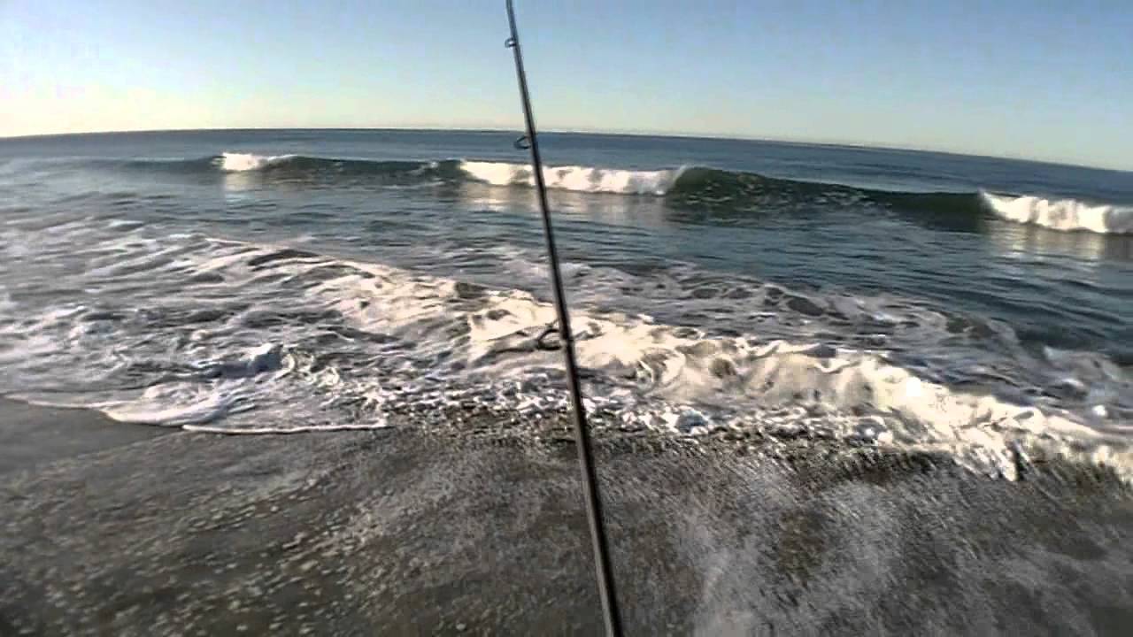 Oceanside surf fishing on 12/24/11 YouTube