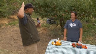 Big Budah heads out to Smith Orchards in Provo