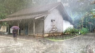 Endonezya kırsalında fırtına yağmuru ve hava rüzgarlı |% 99 iyi bir gece uykusu için çok ferahlatıcı