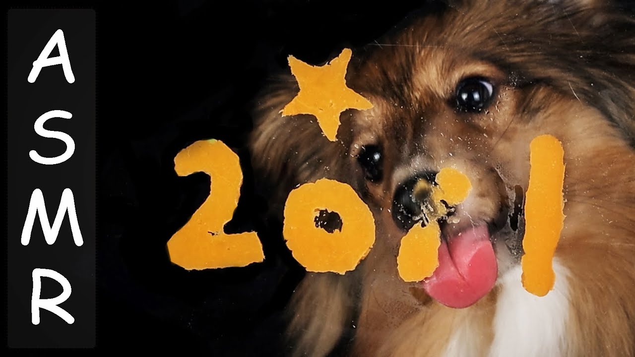 ⁣2021 Happy New Year's Eve!  Sweet Potato Treat. ASMR  Dog eating sounds. No talking.