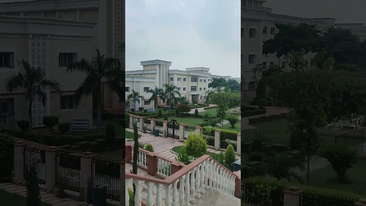 Al Barkaat public school 🏫 