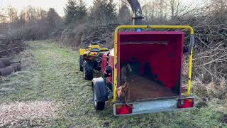 IMG 6242