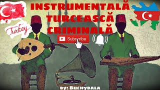 INSTRUMENTAL - TURCEASCA CRIMINALA