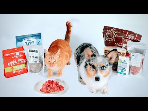 Video: California Naturals Herring & Sweet Potato Dog Food hinnang