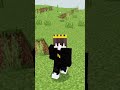 Minecraft Crazy fact #minecraft #shortvideo