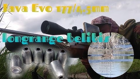 🔴hunting duck/belibis || longrange with Java Evo cal177/4.5mm pellet slug 15grain