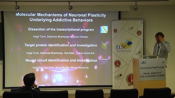 Brain Research at the Molecular and Cellular Level - Part 3