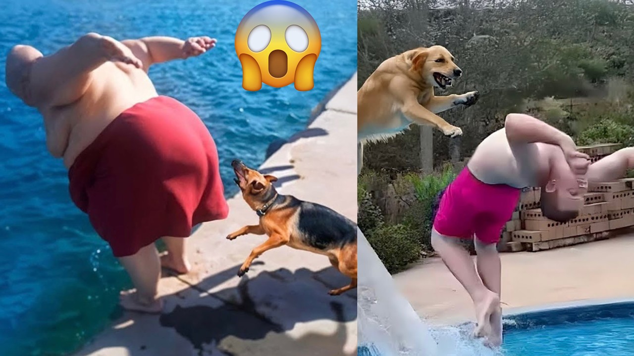 99% FAILED, funniest Try Not To Laugh challenge 😂😱| Best Memes & Pranks 2025