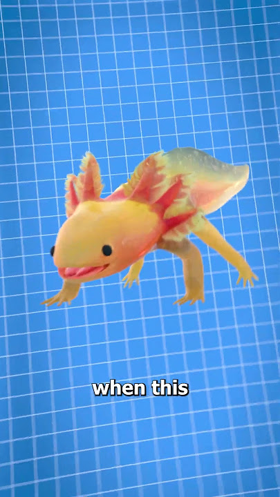 This Creature Can Regrow Its Limbs 🦎