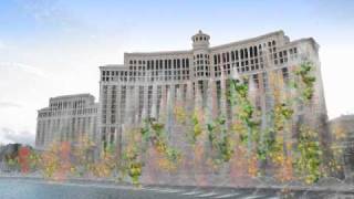 The Busker Nsfw Version, By Andy Martello