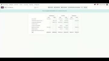 Odoo18 Financial Reports: Currency Filter | Account Report in Multiple Currencies | Account Reports