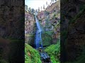 #oregonwaterfalls #travel #nature #cartoonshow