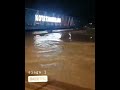 Detik Detik Munculnya Buaya Putih Saat Banjir 2020 