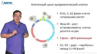 Лекция 2.4. Репарация ДНК и поддержание генома. Трофимов В.В., МФТИ (2021)