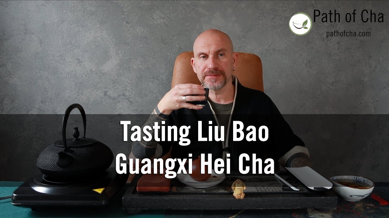 Tasting Liu Bao Hei Cha (harvest of 2021) - YouTube