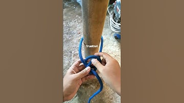 Essentiële knoop die je moet kennen #knoop #knopen #kortevideo