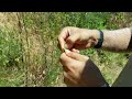 Things to do in Malibu Creek State Park HD 1080p