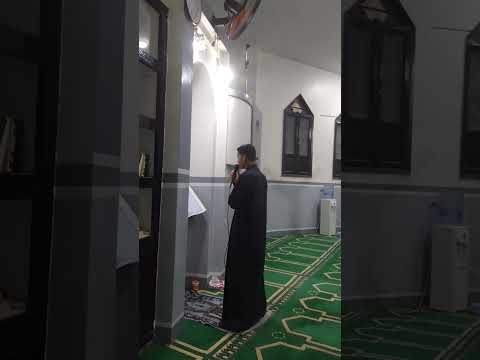 ١٩ مارس ٢٠٢٤ ١٩ مارس ٢٠٢٤