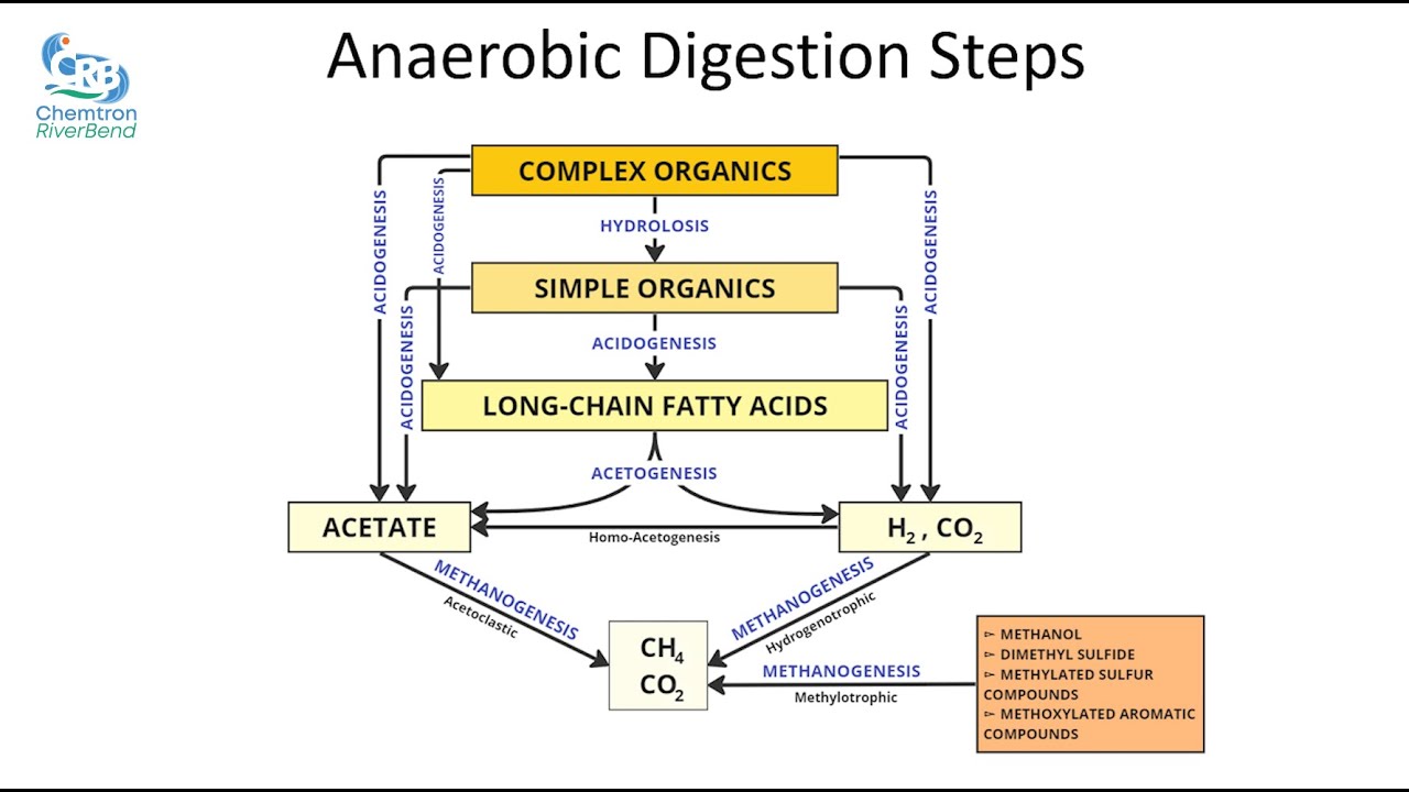 Anaerobic digestion steps and feed capacity