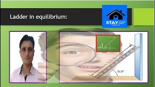 Forces and torques on leaning ladder against wall Wealth