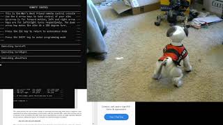 MBF1000 personality for the Aibo ERS 1000: Remote Control Mode screenshot 1