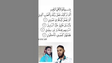 #Surah Al-Fail سورة الفيل #Quran📚 #🕋 #story #viral beautiful voice🕋