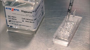 Time-lapse Dish Set-Up | Hypure™ Oil Heavy