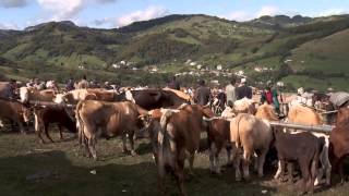 Rosia Montana, un loc la marginea prapastiei