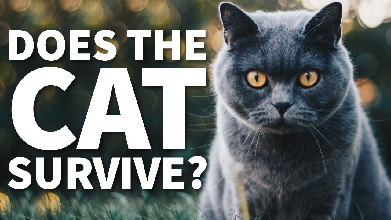 DnD Epic Unplanned Moral Choice