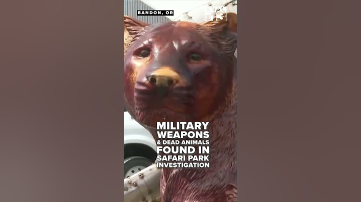 Military weapons, dead animals, and a concrete vault all part of safari park investigation