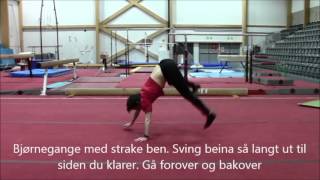 4.4 Generell Basistrening Stabilitet Styrke I Mage, Rygg, Hofte, Skuldre Og Håndledd Øvelse Bjørneg