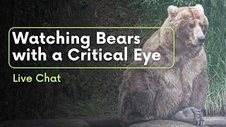 Is That Bear Happy, Sad, Or Neither? Watching Bears With A Critical Eye | Brooks Live Chat