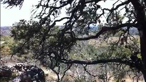 View from Pipeline climb, Flat Rock Ranch.