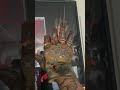 Mike Becker Freddy’s Dead 2024 Template Glove