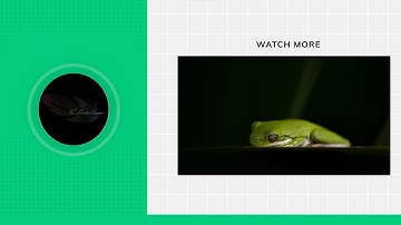 Voicemod & SFX Setup using Elgato Wavelink & Stream Deck