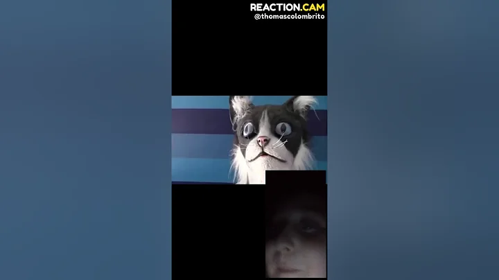 Try not to laugh