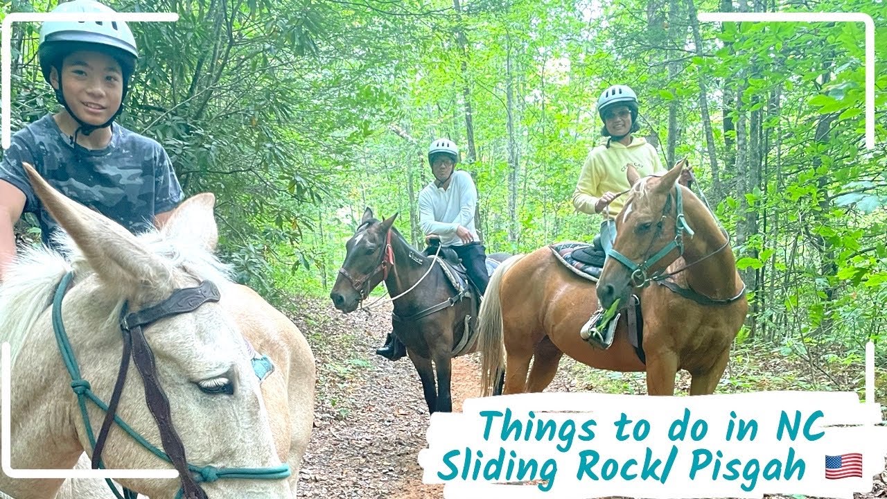 Horse Back Riding | Looking Glass Falls| Chimney Rock | North Carolina Pisgah National Forest