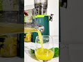 LINKChef Cold Press Juicer - 🇹🇭 Bangkok Breeze – A Taste of Thailand