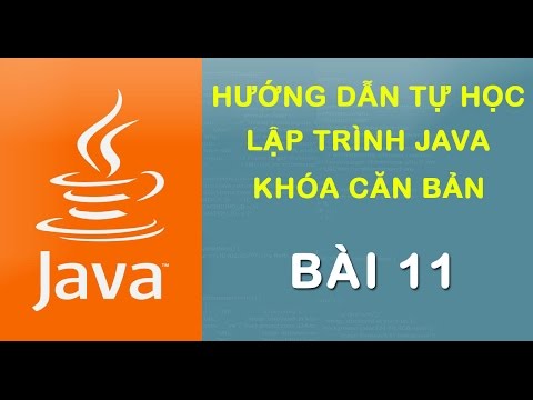 Bài 11: Các
