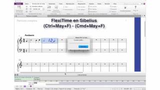 Sibelius Flexi-Time 2nd and 3th beat of bar