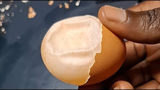 ODDLY SATISFYING RAW EGG PEELING ASMR #43